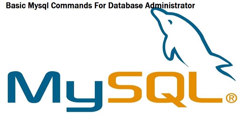 mysql-basic-commands-for-database-administrator-looklinux