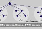 dig-command-example