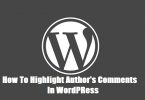 Higlight-Author-comment-in-WordPress